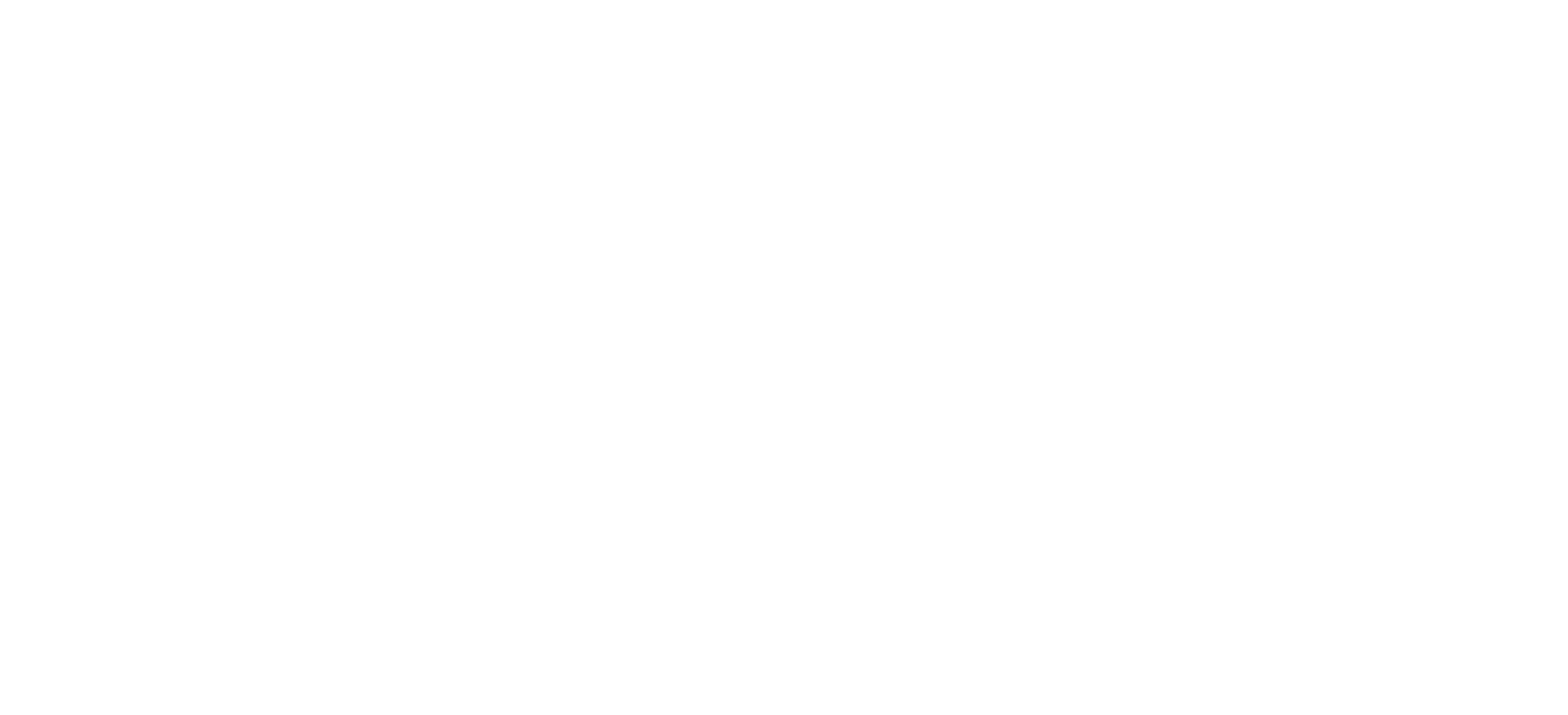 Logo BRAME - byambergerrits - bramecreates